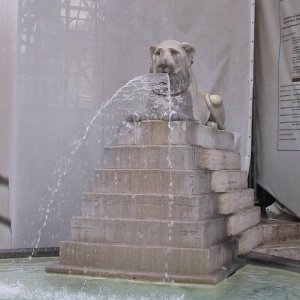 Wasserspeiender Lwe auf der Piazza del Popolo