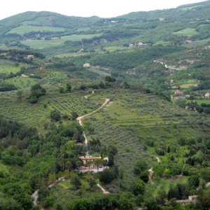 Assisi_066