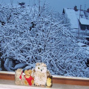 Schnee am Montagmorgen