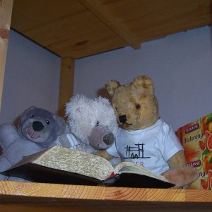 Dusty, Brnini und Brummi singen