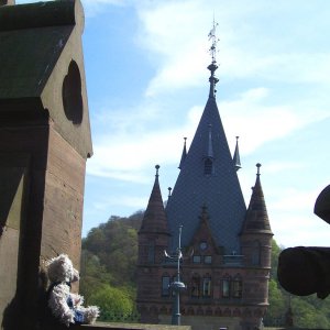 Fatzi auf Schloss Drachenburg
