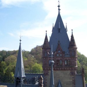 Fatzi auf Schloss Drachenburg