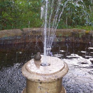 Brunnen im Siechengarten, Fontne