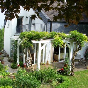 Doudous Garten im Sommer