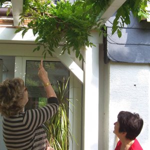 Doudous Garten im Sommer