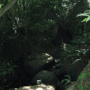 Bomarzo