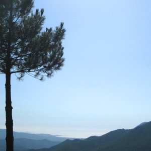 korsische Landschaft