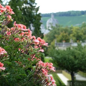 Im Hofgarten der Residenz