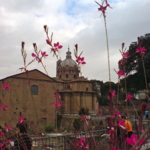 Via dei Fori Imperiali