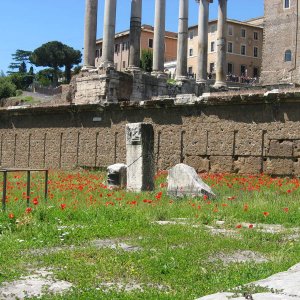 Forum Romanum1