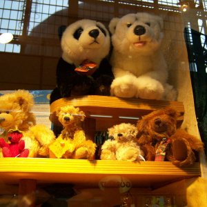 Teddybren im Hamburger Hauptbahnhof