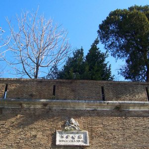 Mura Gianicolensi