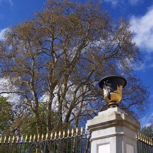 Besuch von Schloss Falkenlust