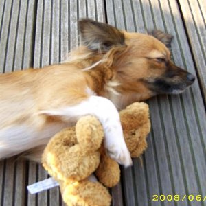 Yangi und Teddy