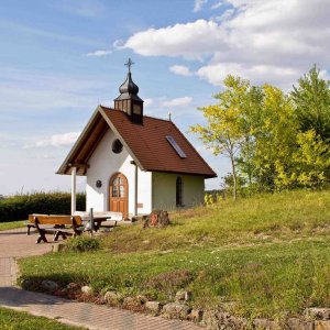 Weinberge Retzbach bei Wrzburg