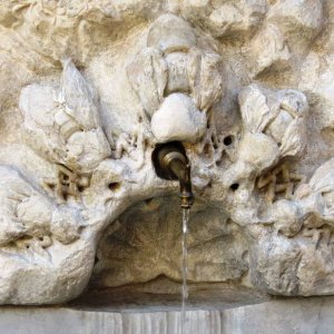 Fontana delle api in Vaticano