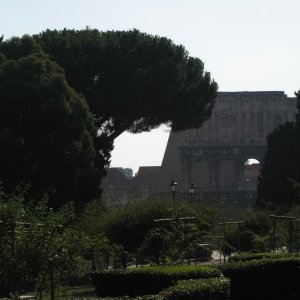 Colle Oppio und Colosseo