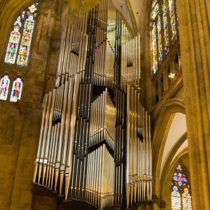 FT 2012 Regensburg Dom