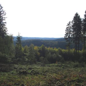 Oelberg-Wanderung 14.10.2012