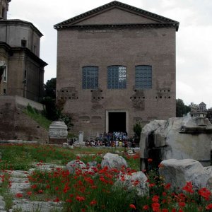 Forum Curia