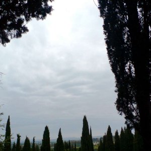 Landschaft bei Monte Oliveto Maggiore