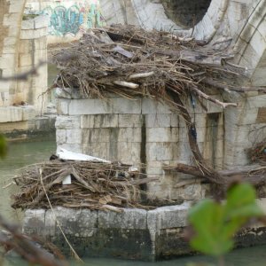 Radtour am Tiber