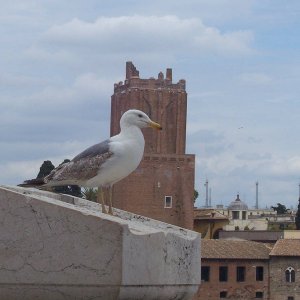 Campidoglio: Weg zum Panorama-Aufzug und Terrasse dort