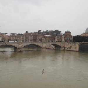 Tiber