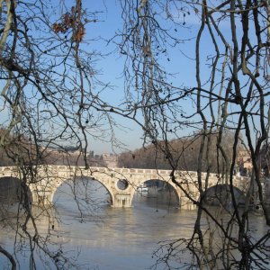 Lungotevere Farnesina