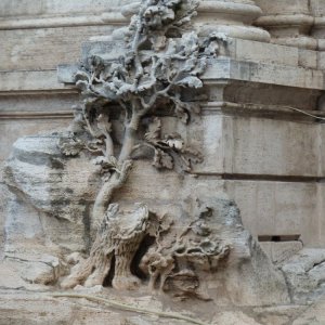 Fontana di Trevi