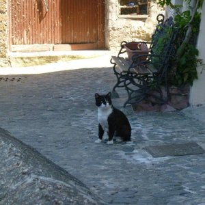 Anguillara Sabazia, Provinz Rom