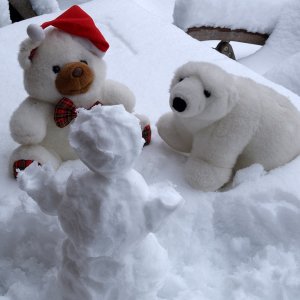 Klaus und Lars im Schnee