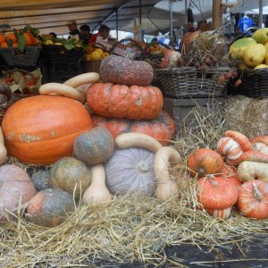 Campo de' Fiori