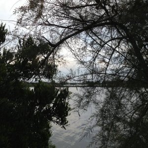 Lago di Sabaudia
