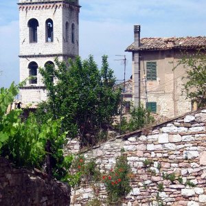 Assisi Blick ueber Steinmauer