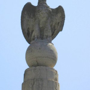 Adler an der Porta Flaminia