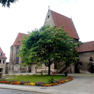 Der Naumburger Dom