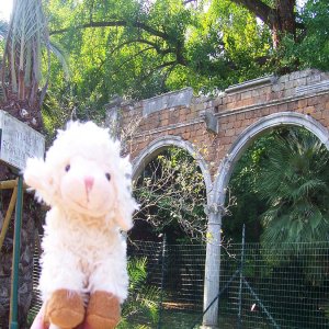 Passeggio Gennaro und Lmmchen, Villa Sciarra