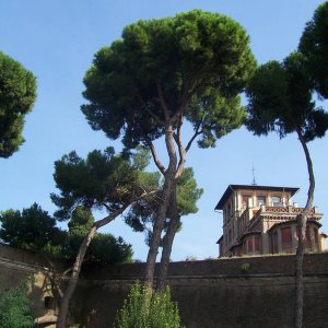 Passeggio Gennaro und Lmmchen, Gianicolo