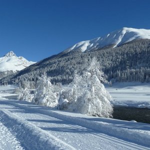 Engadin