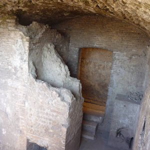 Forum Romanum und Palatino