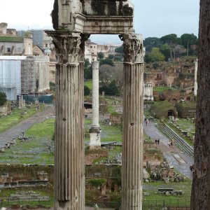 Blick auf das Forum Romanum