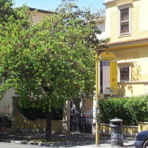 Stazione Quattro Venti: Weg zur Villa Maria