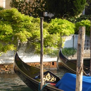 Auf dem Canal Grande