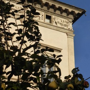 Garten der Villa Farnesina