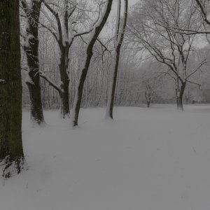 Spaziergang im Schnee 2015