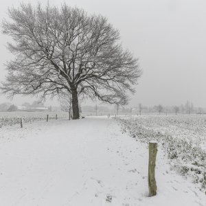 Spaziergang im Schnee 2015