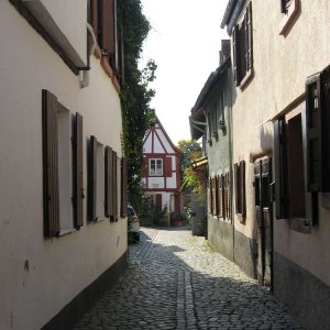 Impressionen aus der Pfalz
