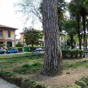 Piazza Gian Lorenzo Bernini