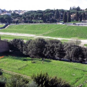 Palatin - Blick auf Circus Maximus